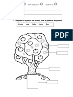 Constituiã Ã o Da Planta