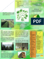 Triptico Esfor 19 PDF