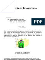 Fotosíntesis Fotosistema