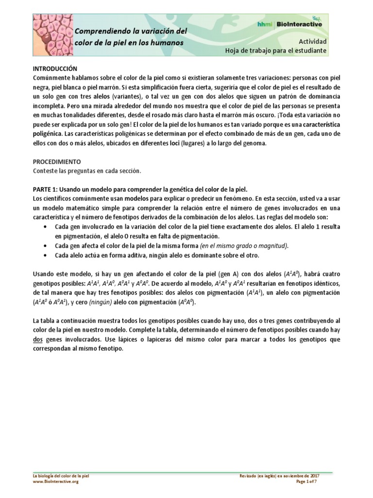 Guia Estudiantes - Biologia de La Piel | PDF | Polimorfismo de nucleótido  simple | Raza (categorización humana), image size:768x1024