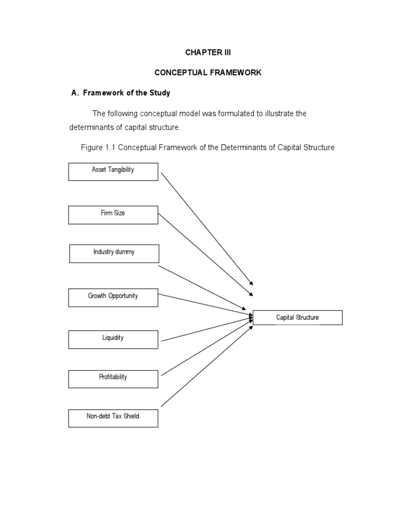 3 - Conceptual Framework | PDF