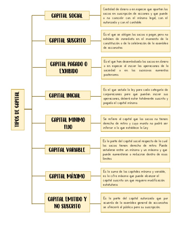 Clasificación De Capital » Tipos, Funciones Y Ejemplos – PNSWG