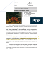 Trabajo Final Integrador 2020. Aldavez, Juan Ignacio - Corregido - LV PDF