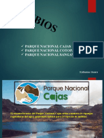 LOS ANFIBIOS