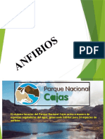 Anfibios en Areas Naturales