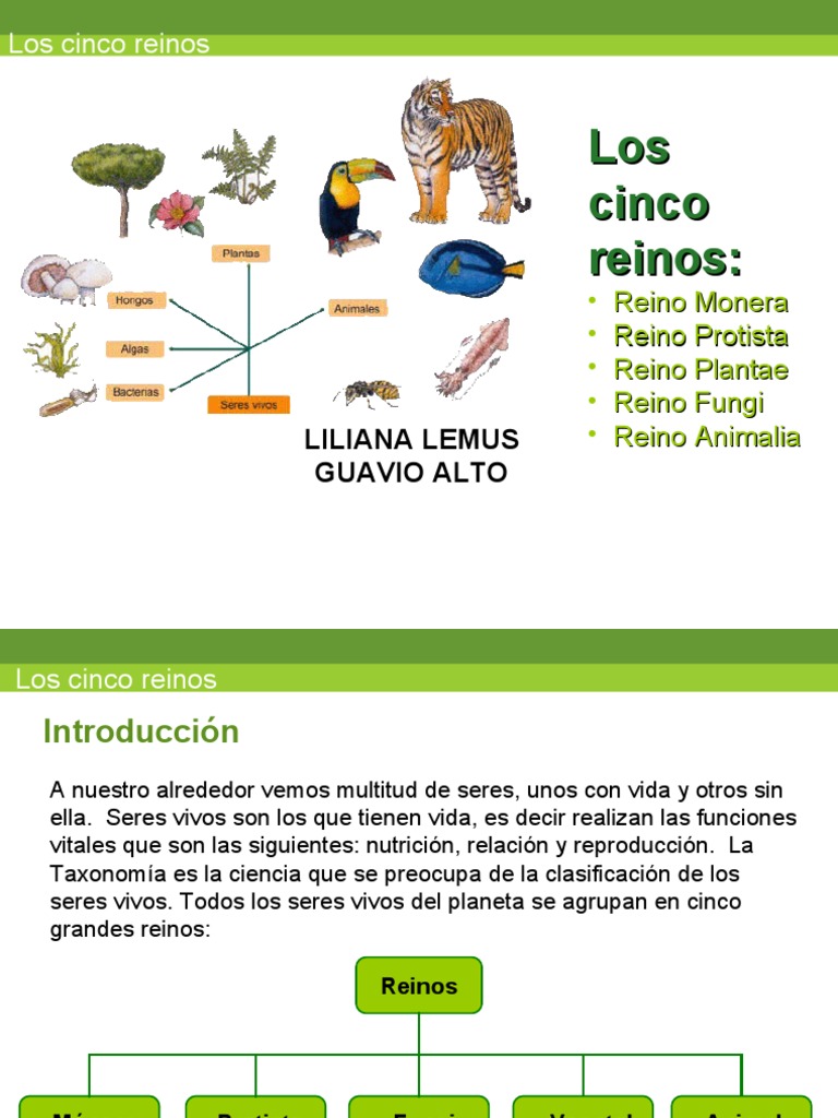 Los Cinco Reinos | PDF | Plantas | Hongo