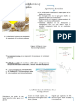 metabol. agliceroles y esfingolipidos.pptx