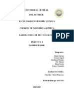 PRACTICA-1-Bioseguridad-1.docx