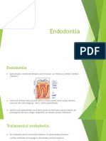 Endodontie PDF