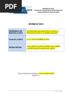 Informe Visita Plantilla (1)