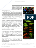 Fluorescencia - Wikipedia, La Enciclopedia Libre