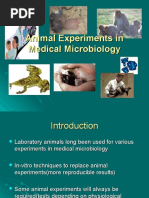 Download Animal Experiments in Medical Microbiology by ira_praharaj SN47019706 doc pdf