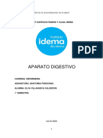 Aparato Digestivo PDF