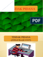 Hk Pidana.3 Tindak Pidana