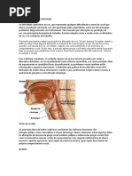 Distúrbios Vocais e Disfonias.docx