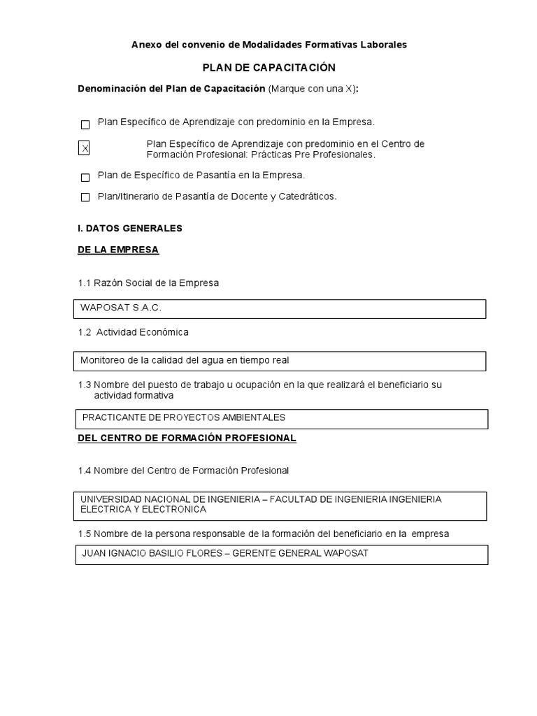 Plan de Capacitacion Brian Bravo | PDF | Business | Science
