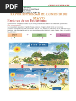 Factores de Un Ecosistema