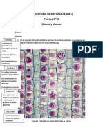 Informe de Mitosis y Meiosis