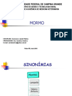 Mormo em equídeos: aspectos clínicos e epidemiológicos