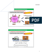 Metodología Del Entrenamiento. DÍA 3 PDF