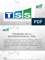 Tesoreia de La Seguridad Social (TSS)