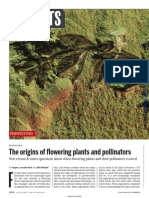 Los origenes de las plantas con flores y polinizadores