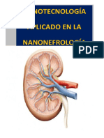 nanotecnología  y la Nanonefrología