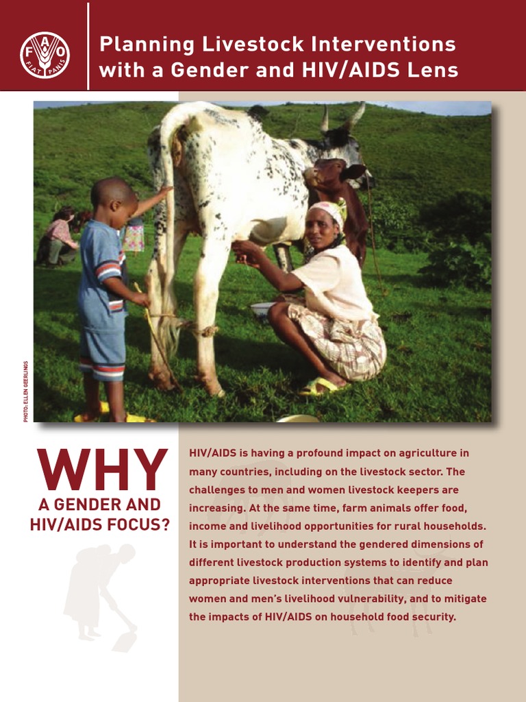 Planning Livestock Interventions Pdf Livestock Food Security