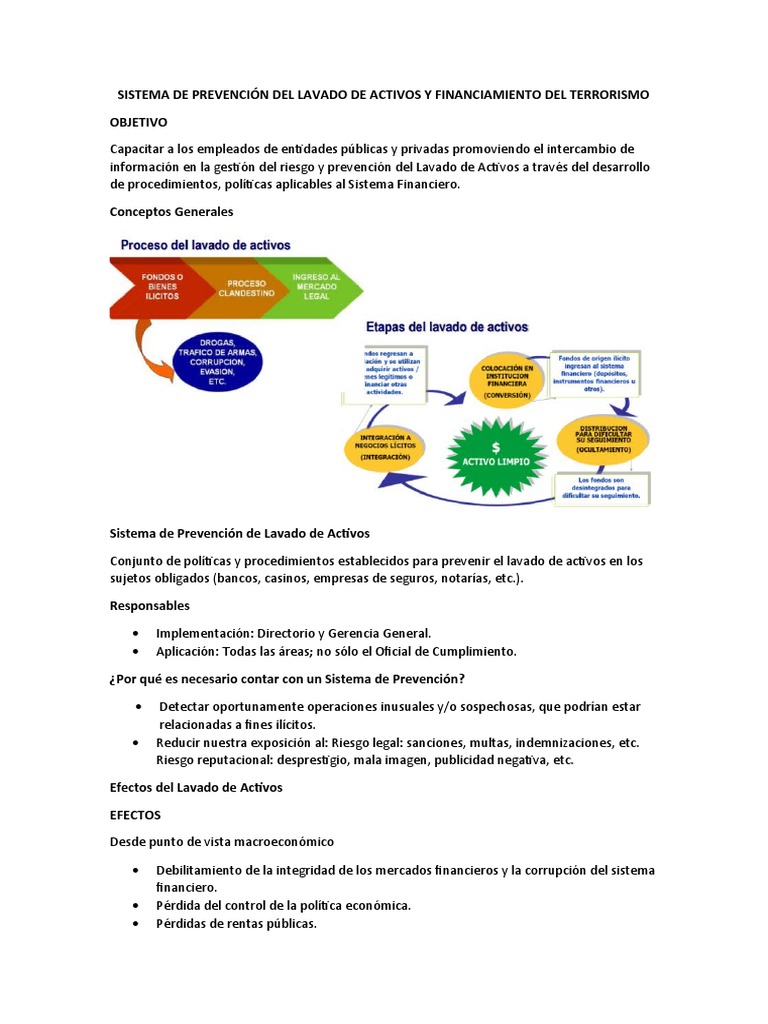 Prevención del Lavado de Activos y FT | PDF | Lavado de dinero | Economias