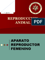 Aparato Reproductor Femenino 2020
