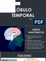 Lóbulo frontal: funciones y áreas