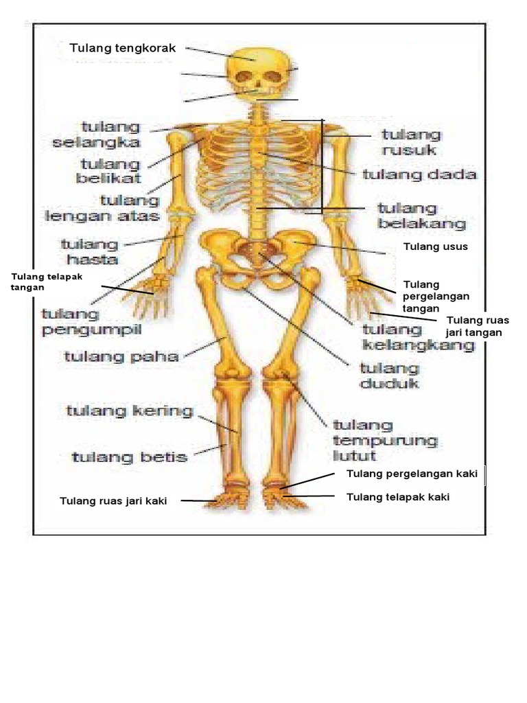 Gambar Rangka Pdf