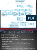 Sistem Gerak