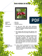 A11, Pokok Ajaib PDF