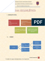 Embriología-Esqueleto Axial