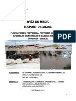 Raport de mediu_PPPDEI_DL