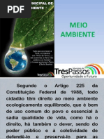 MEIO AMBIENTE