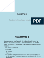 Estomac: Anatomie-Histologie-Physiologie