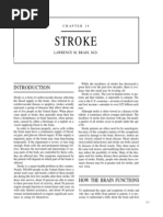 Download Stroke by sridhar SN4702418 doc pdf