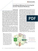 Plants Increase Photosynthesis Ef Ficiency by Lowering The Proton Gradient Across The Thylakoid Membrane