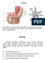 DIAGNOSA