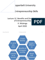 The Copperbelt University BS 361: Entrepreneurship Skills