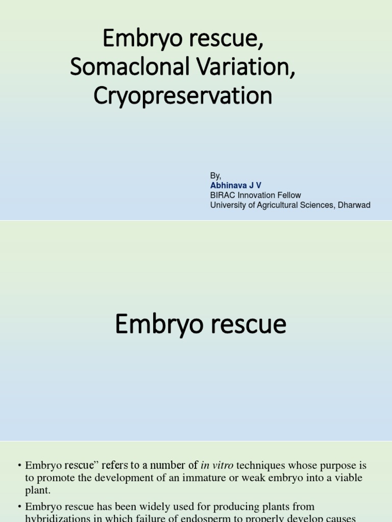 Understanding Embryo Rescue Techniques | PDF | Freezing | Biology