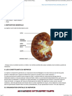 Publication Du Cuen Physiologie Et Physiopathologie Renales Chapitre Entier