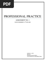 Professional Practice: Assignment No. 1