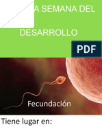 Fecundacion-1