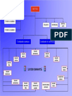 Organigrama Colegio