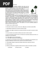 Efeito de Estuga- Al Gore