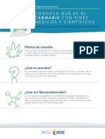 Preguntas Frecuentes Cannabis PDF