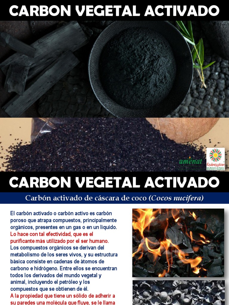 Carbon Vegetal Activado PDF Diarrea Petróleo